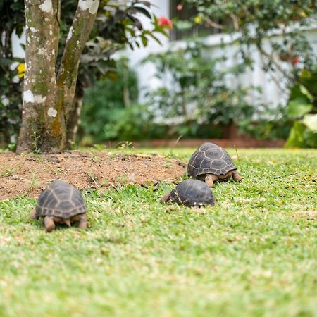 Ixora Villa Anse Royale Eksteriør bilde