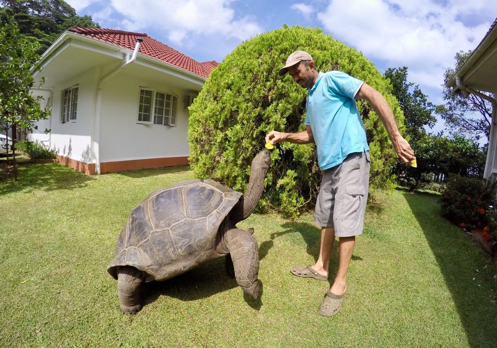 Ixora Villa Anse Royale Eksteriør bilde